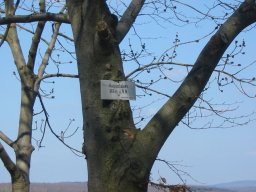 bad-urach-002