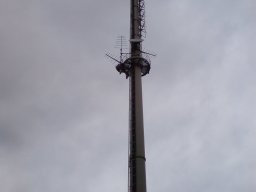 ettlingen-001