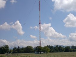 freiburg-lehen-001