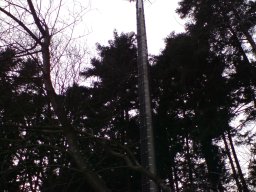 freiburg-littenweiler-001