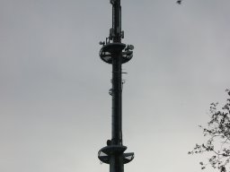 leonberg-003