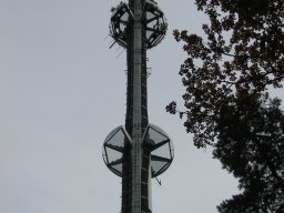 leonberg-004