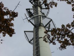 leonberg-005