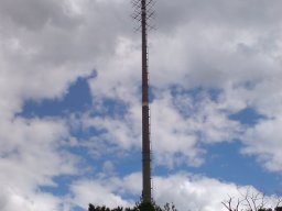 mannheim-kaefertal-001