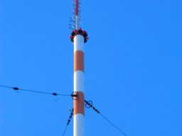 muehlacker-103