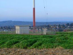 muehlacker-107