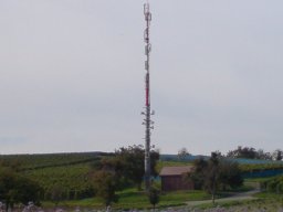 reichenau-006
