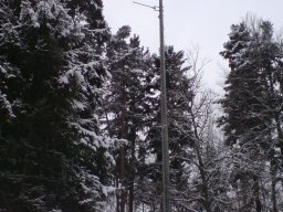 rottweil-rote-steig-001