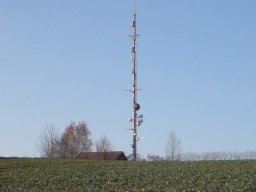 salen-001