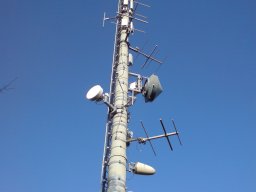 salen-002