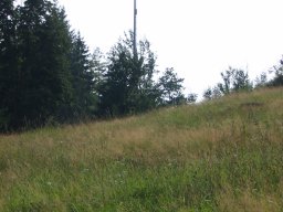 schwaebisch-gmuend-vogelhof-001