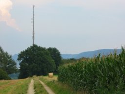 schwaebisch-gmuend-001