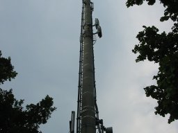 schwaebisch-gmuend-005