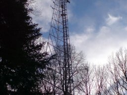 schwaebisch-hall-einkorn-004