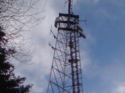 schwaebisch-hall-einkorn-005