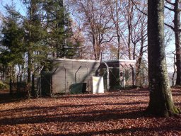 singen-003