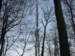 stuttgart-fernsehturm-011
