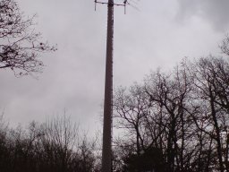 tauberbischofsheim-001