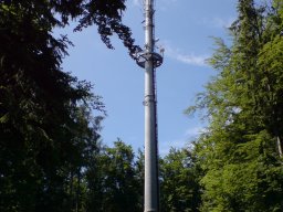 waldshut-001