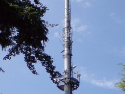 waldshut-002