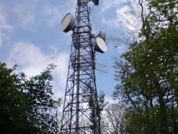 weinheim-hirschkopf-001