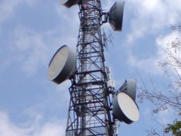 weinheim-hirschkopf-002