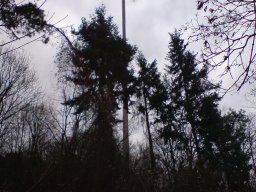 wertheim-001