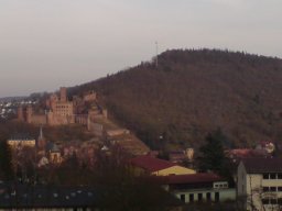 wertheim-004