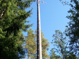 wildberg-002